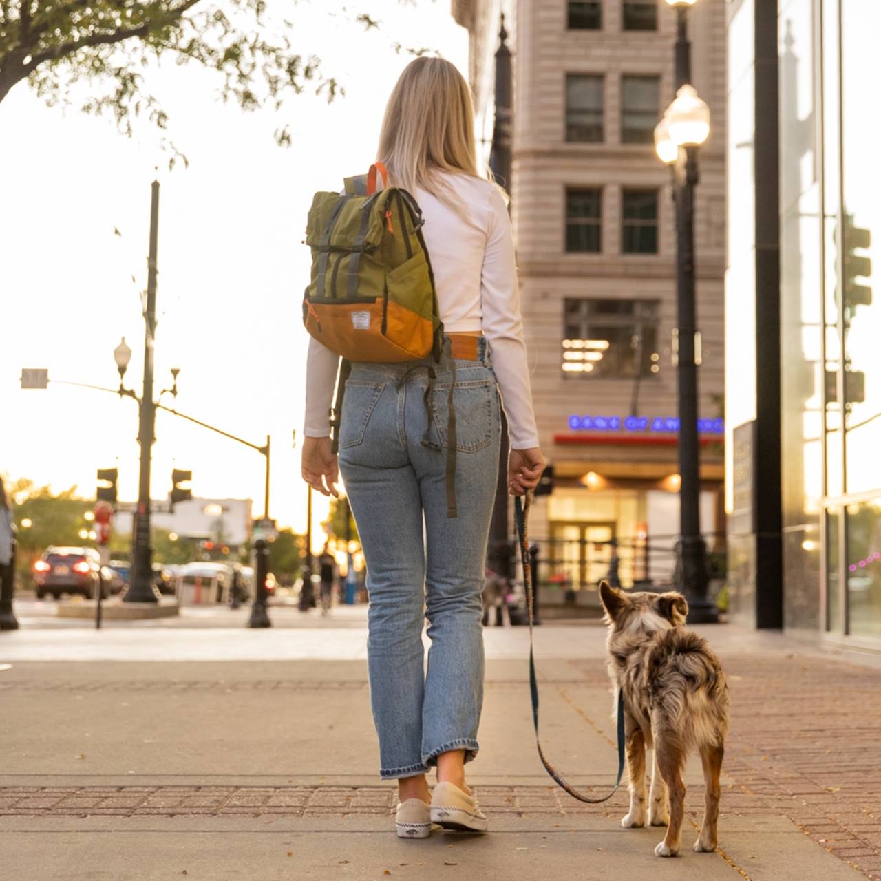 K9 Sport Sack® Urban Leafy